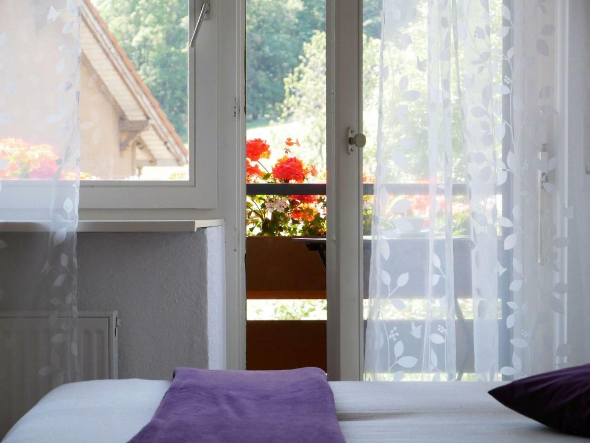 Haus Vita Ferien- Und Seminarhaus Urberg Экстерьер фото